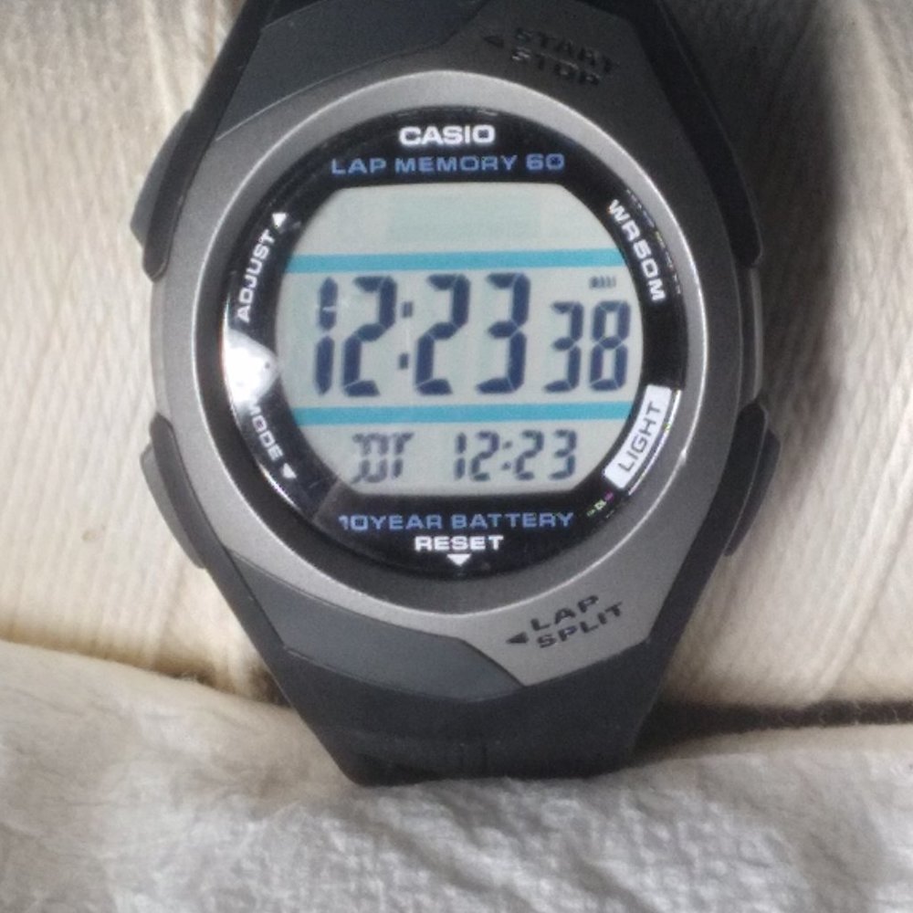 Casiio Lap 60 Men's Watch